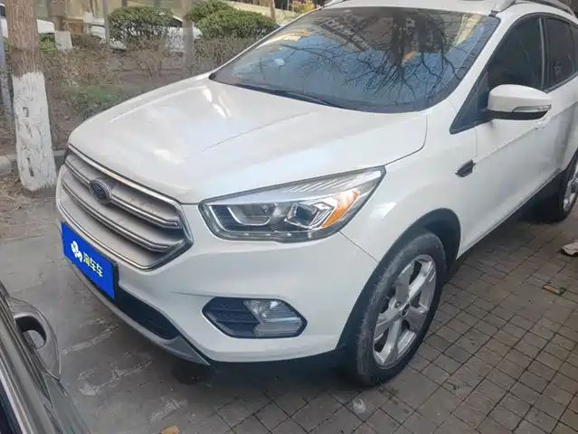 FORD WINGED TIGER 2017