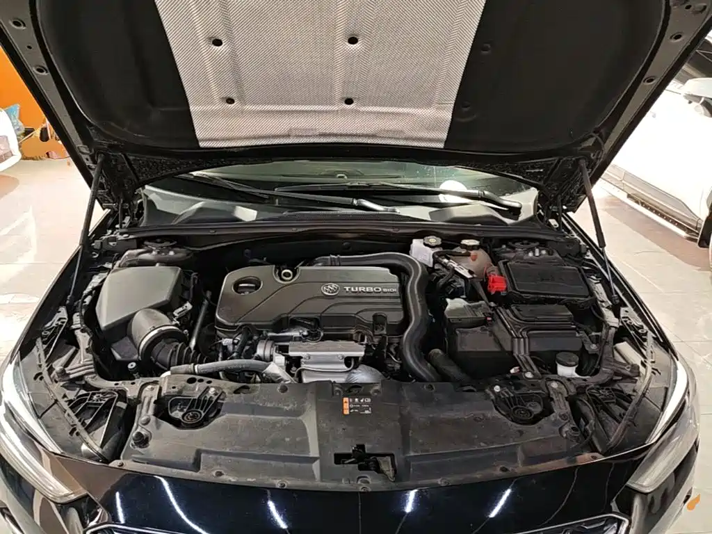 Buick Regal — миниатюра 20