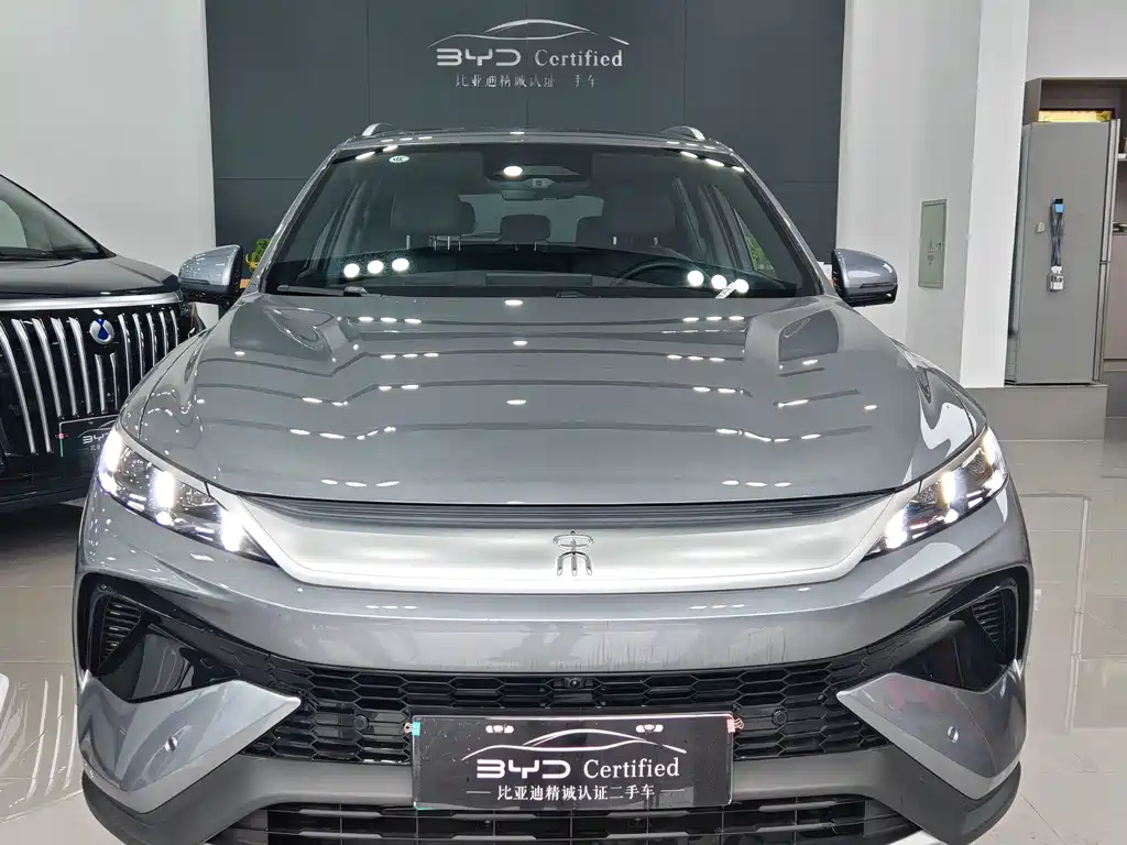 BYD Pro New Energy — миниатюра 4
