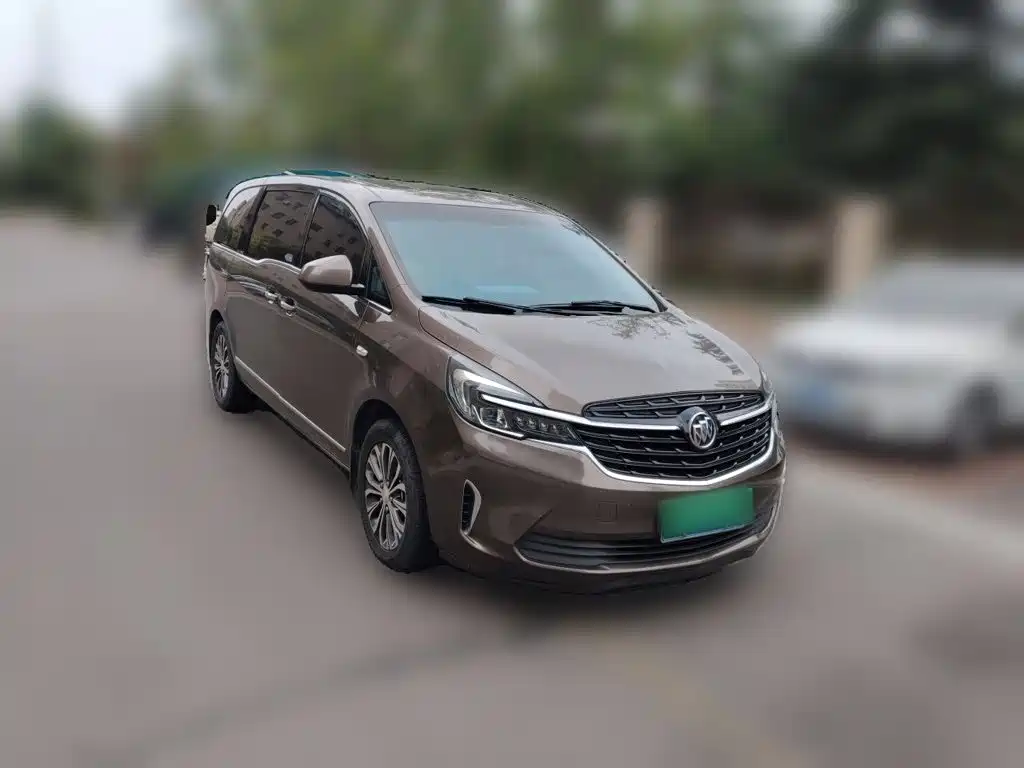 Buick GL8 — миниатюра 24