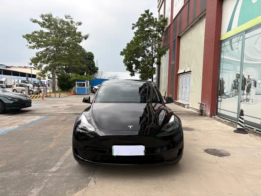 Tesla Model Y — миниатюра 2