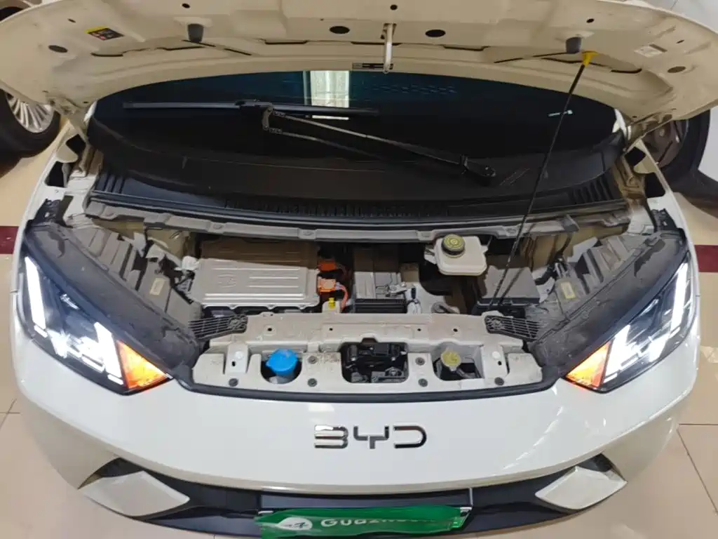 BYD Seagull — миниатюра 20