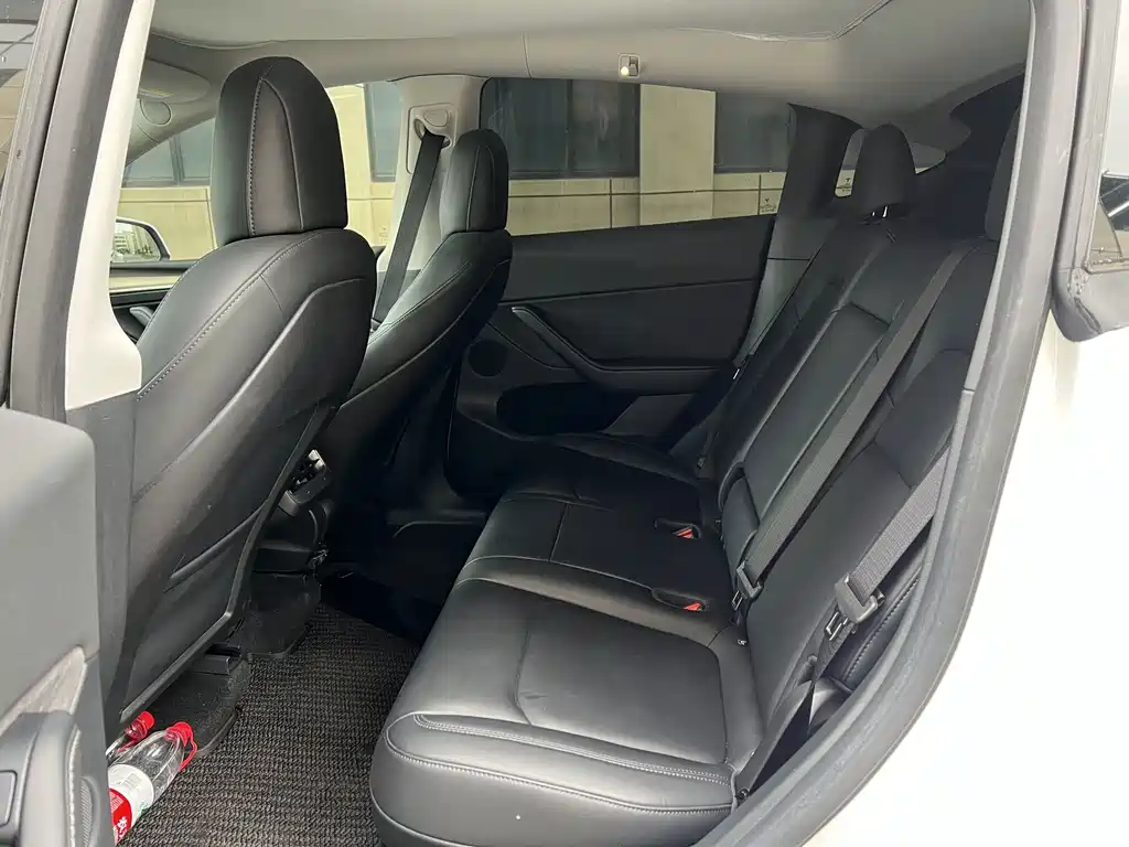 Tesla Model Y — миниатюра 10