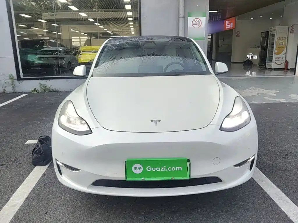 Tesla Model Y — миниатюра 3