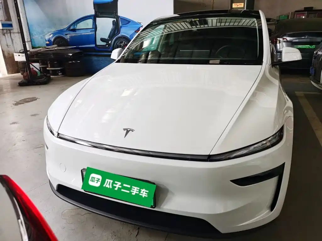 Tesla Model Y — миниатюра 3