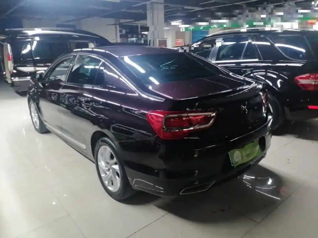 DS DS 5LS — миниатюра 5