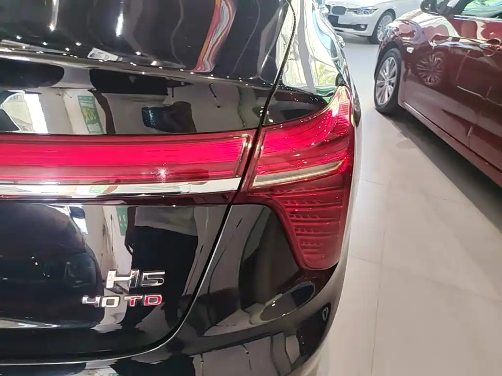 Hongqi Hongqi H5 — миниатюра 8