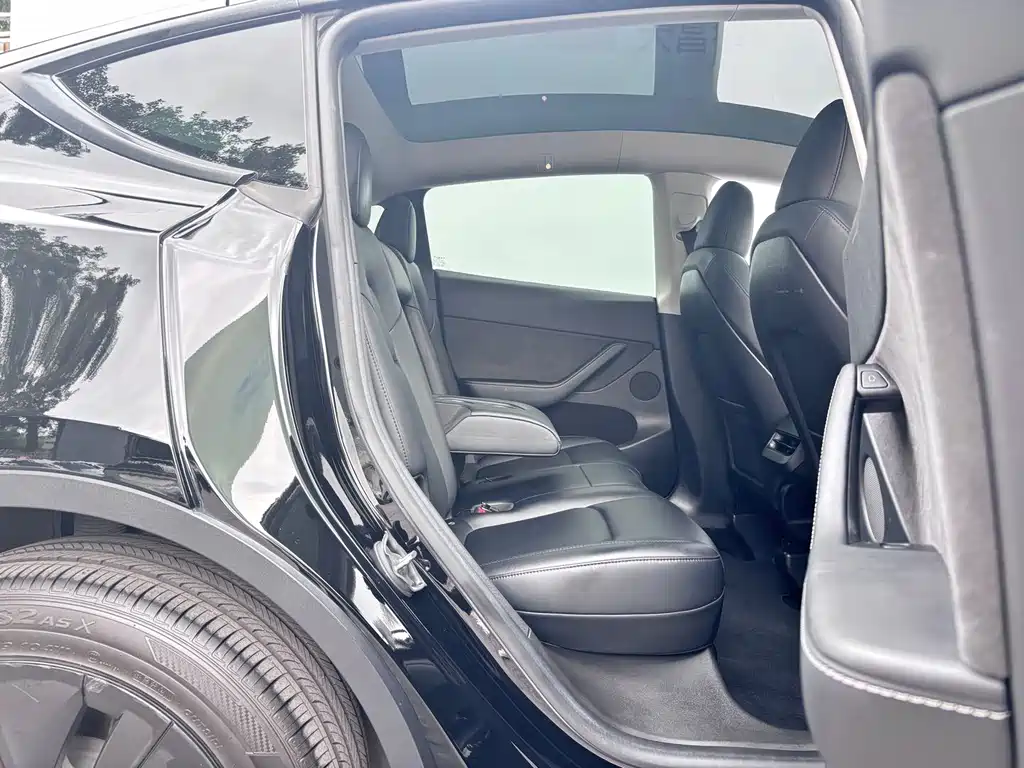 Tesla Model Y — миниатюра 10