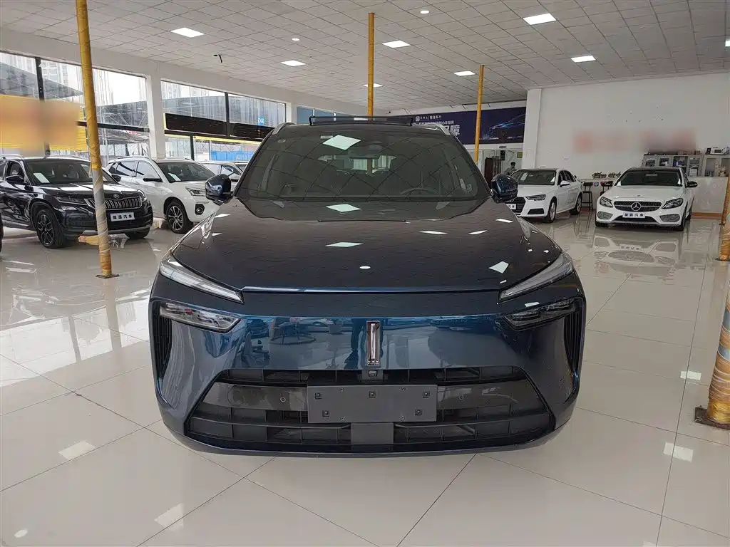 WEI PAI WEI BRAND BLUE MOUNTAIN