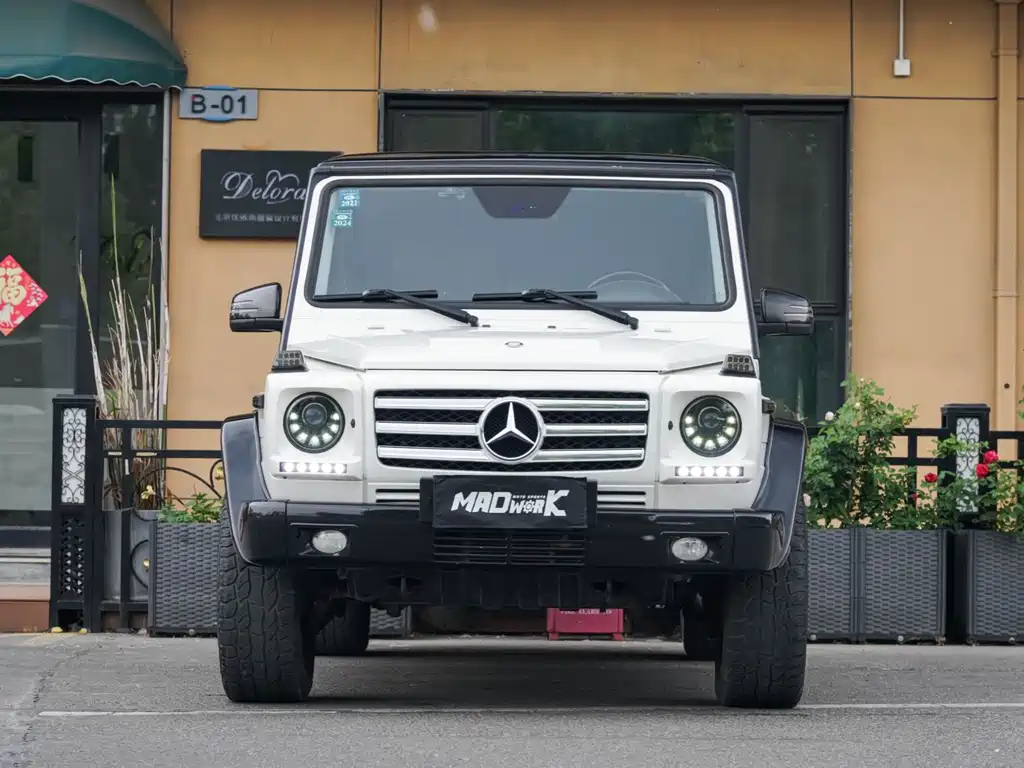 Mercedes-Benz G-Class G 2010 G 500