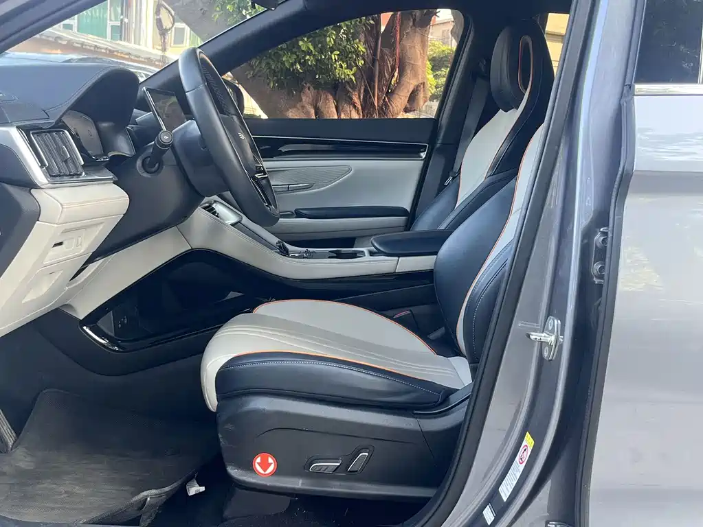 BYD PLUS New Energy — миниатюра 4