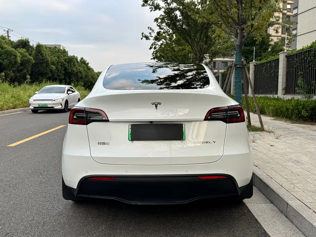 Tesla Model Y — миниатюра 5