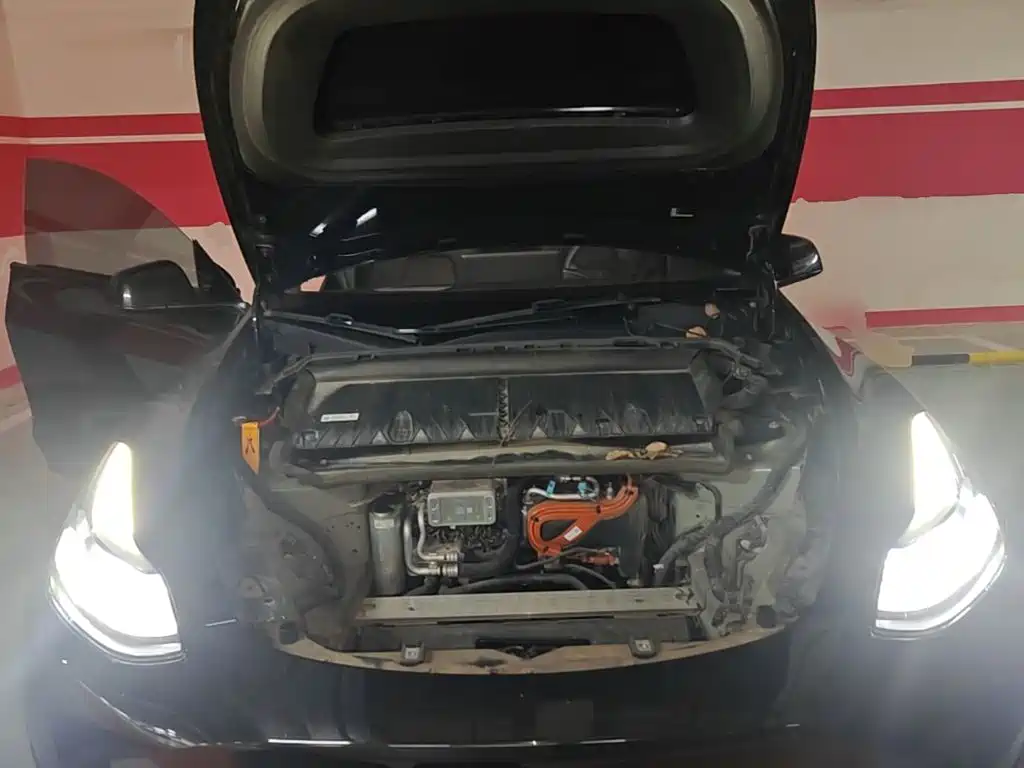 Tesla Model Y — миниатюра 20