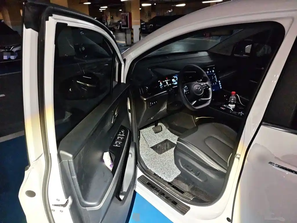 Hyundai Custo — миниатюра 12