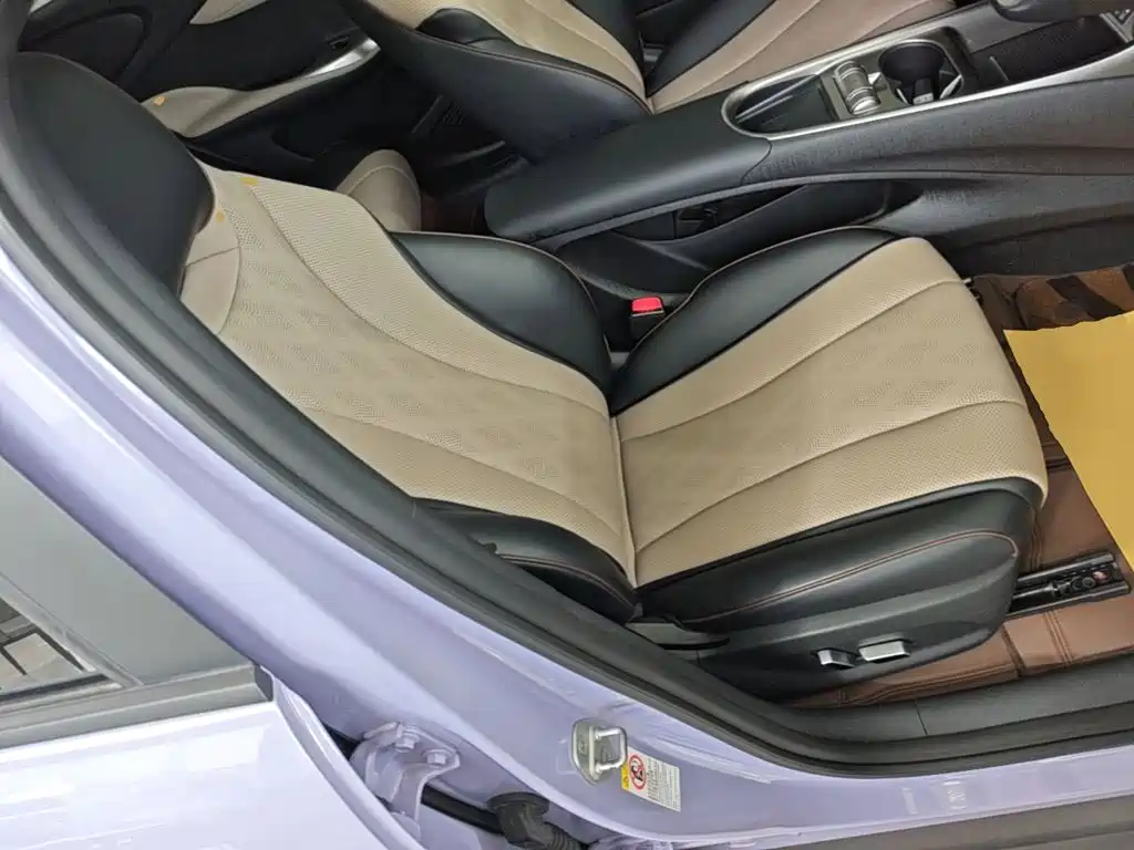 BYD Dolphin — миниатюра 25