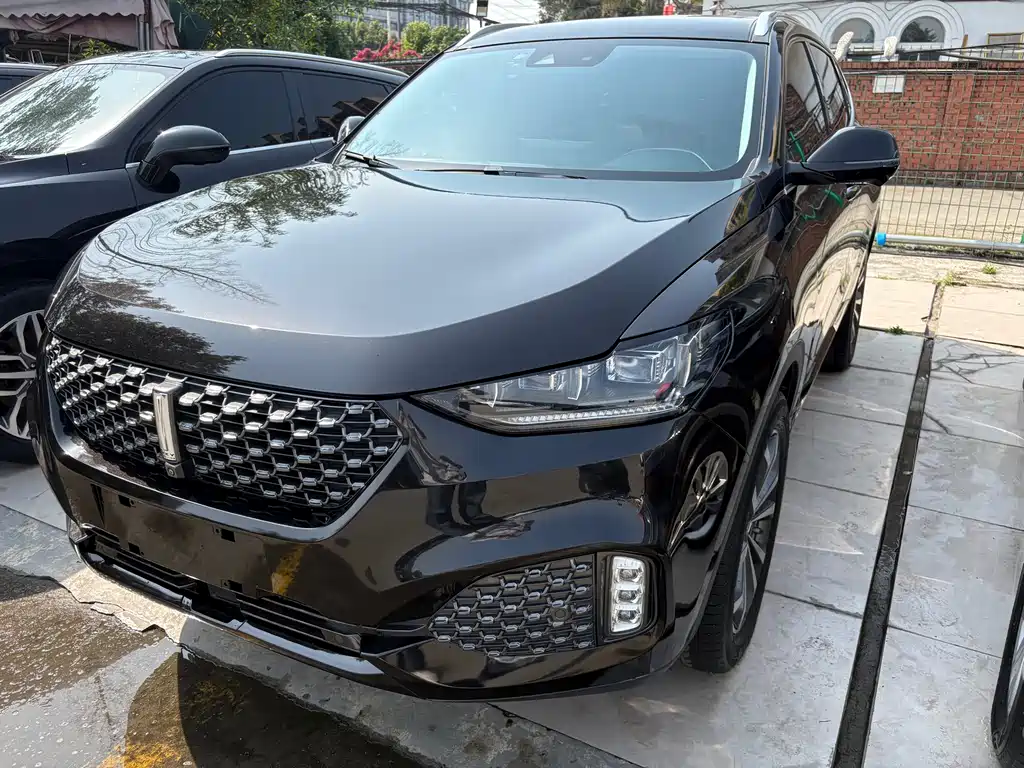 Wey Wey VV6 2020