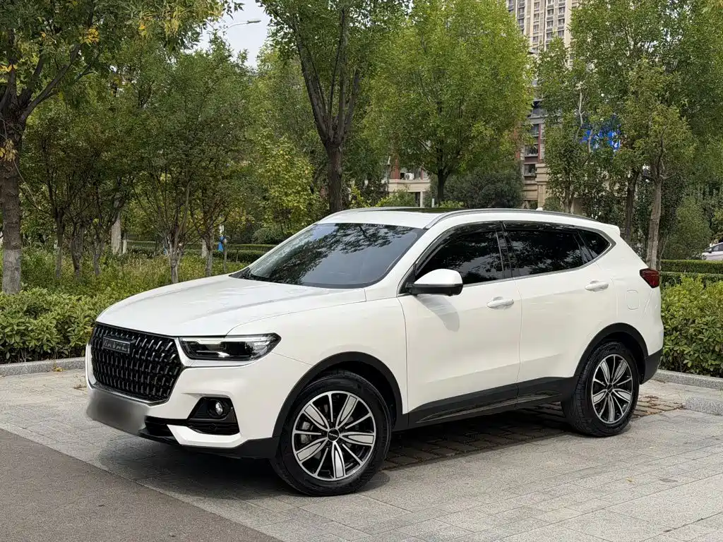 Haval H6 — миниатюра 2