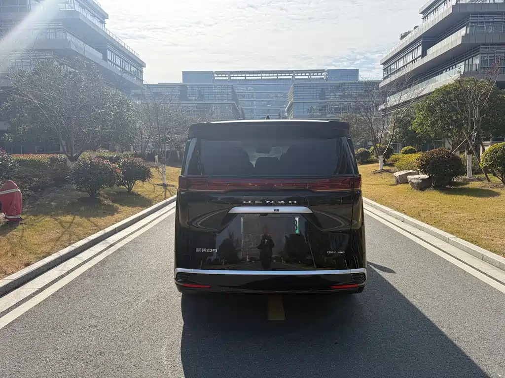 DENZA D9