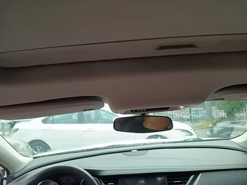 Buick Regal — миниатюра 18