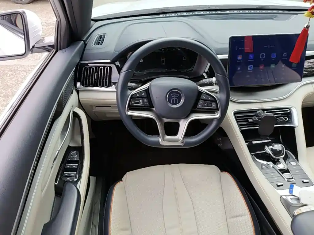BYD PLUS New Energy — миниатюра 11