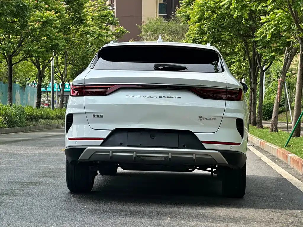 BYD PLUS — миниатюра 4