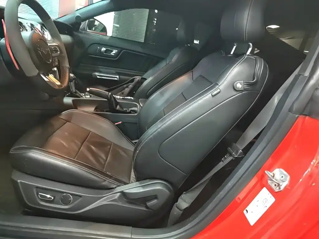 Ford Mustang — миниатюра 15