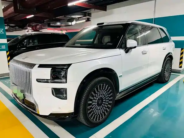 2026 Zeekr 009