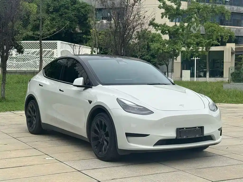 Tesla Model Y — миниатюра 4