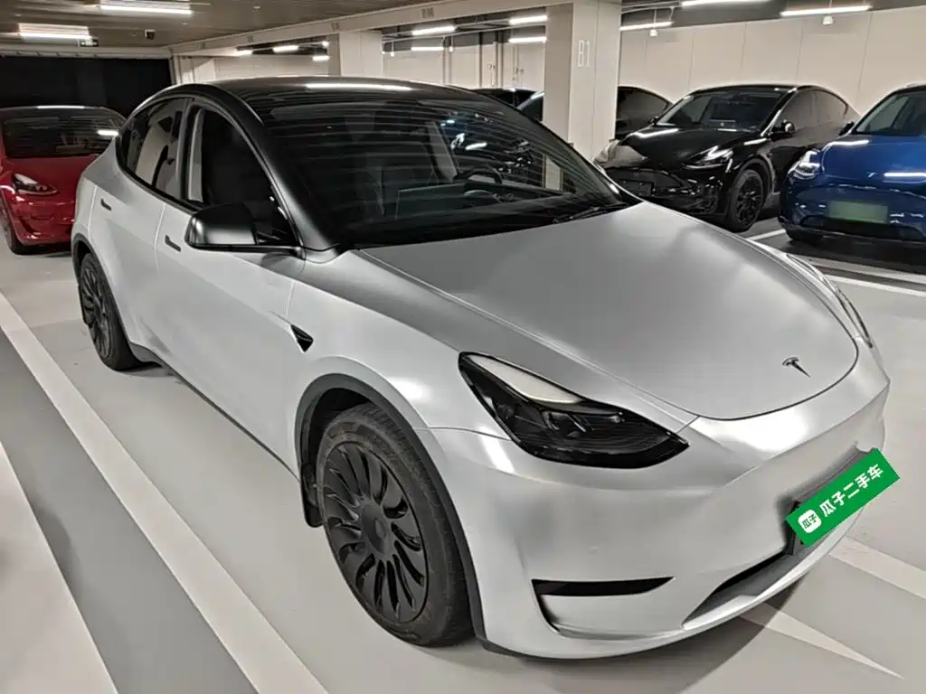 Tesla Model Y — миниатюра 4