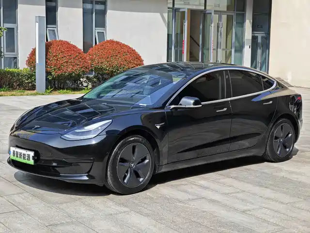 TESLA MODEL 3 2020