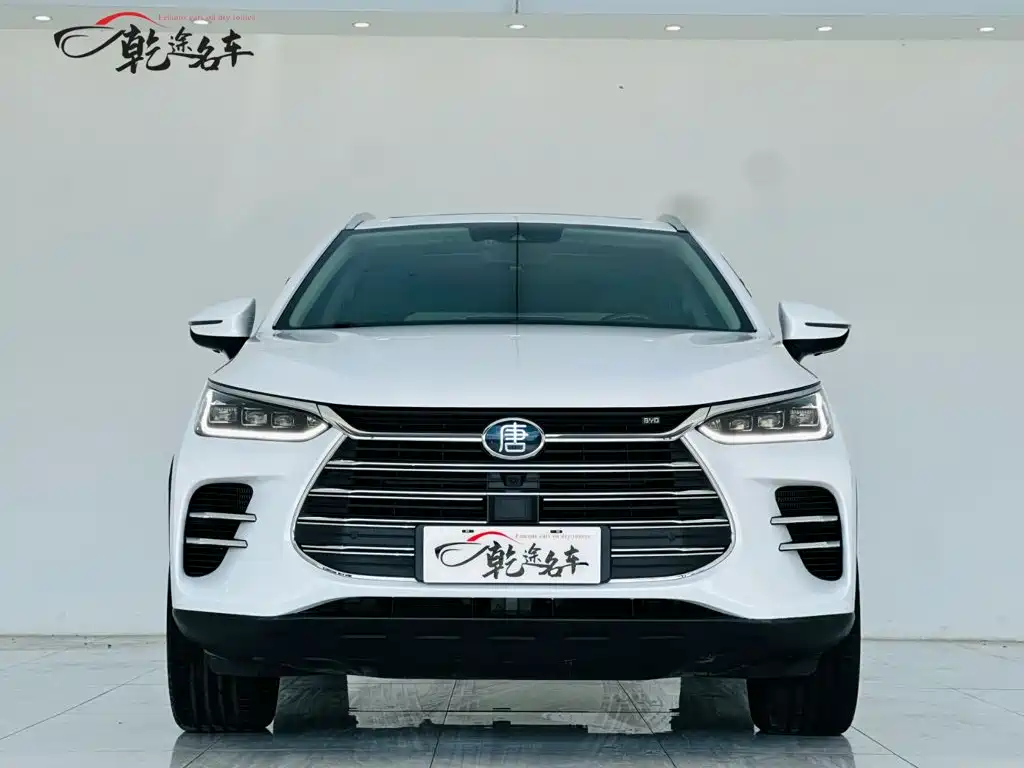 BYD Tang New Energy — миниатюра 2