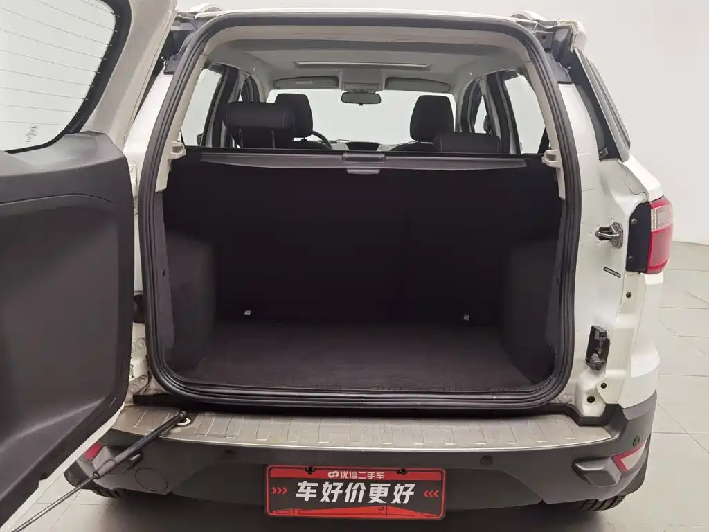 Ford Ecosport — миниатюра 16