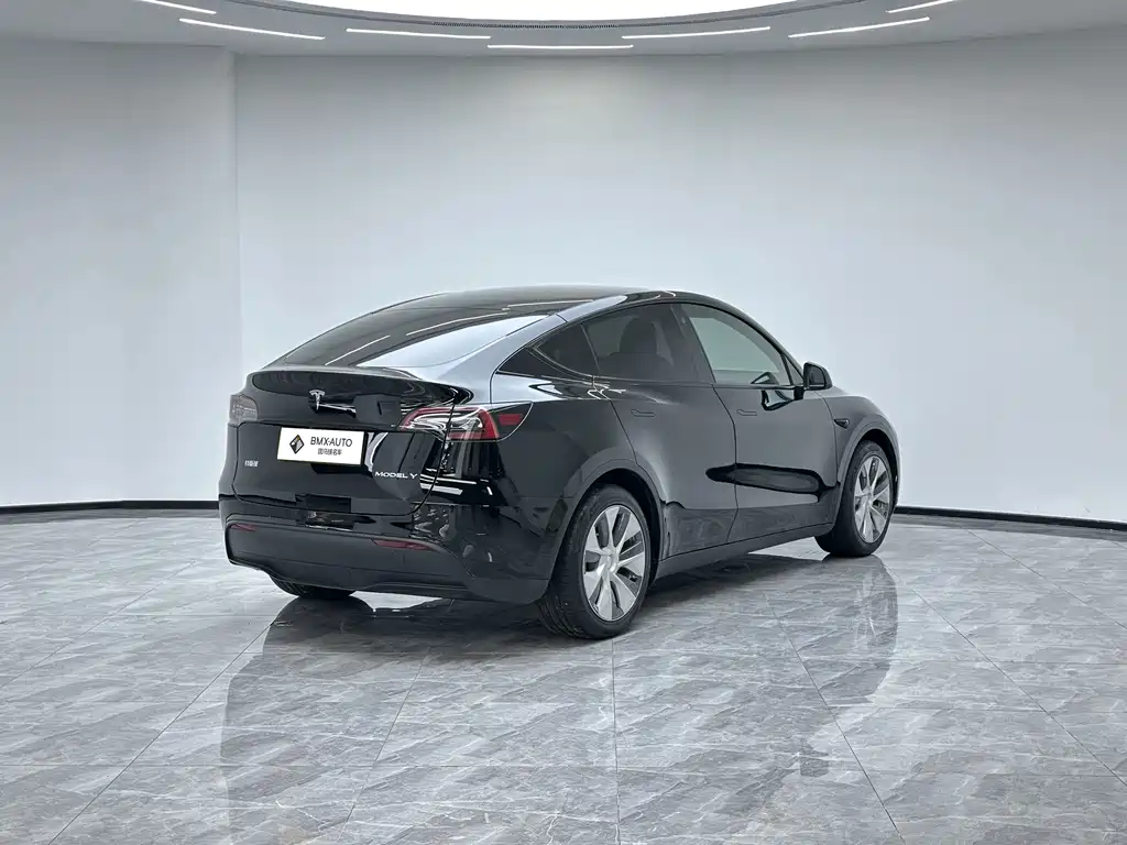 Tesla Model Y — миниатюра 3