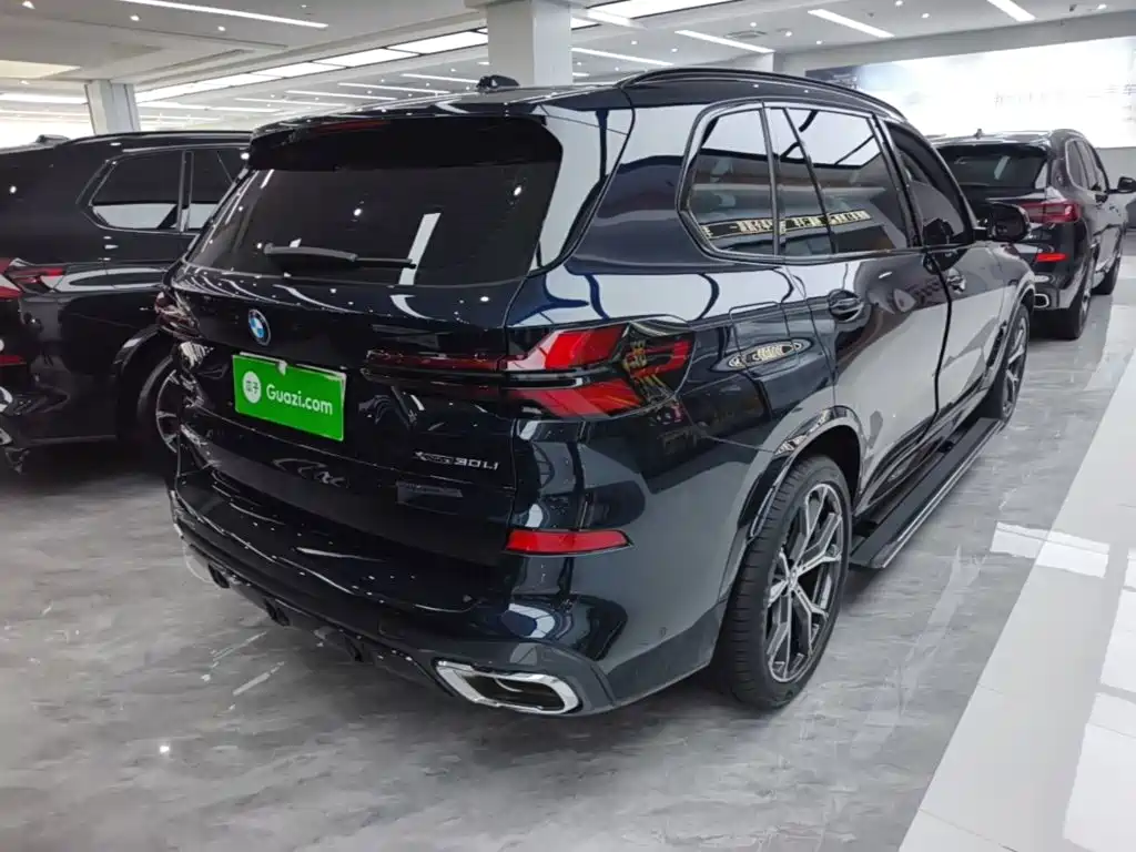 BMW X5 — миниатюра 7