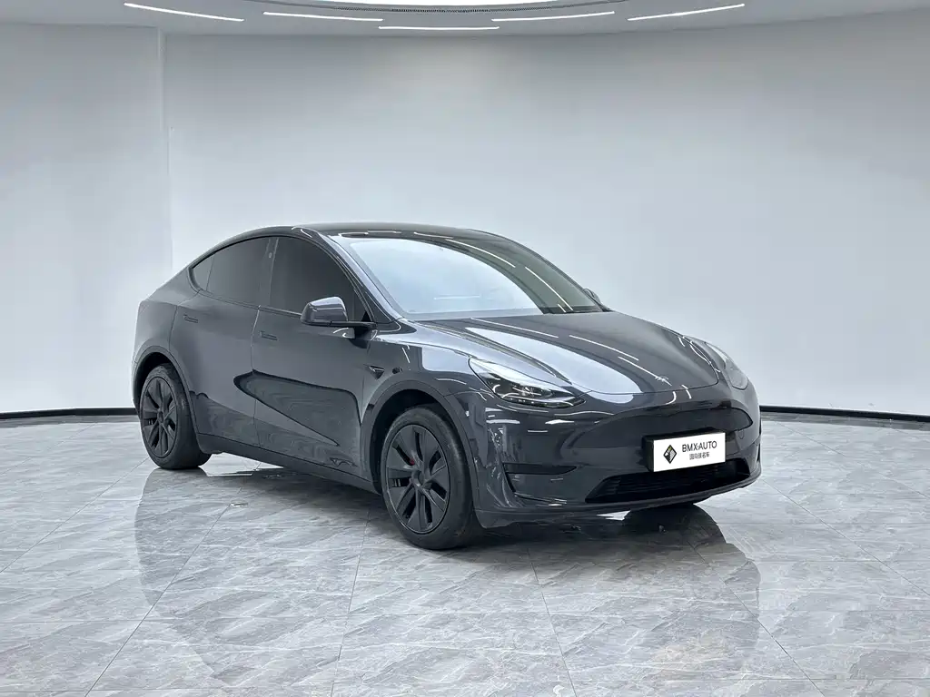 Tesla Model Y — миниатюра 5