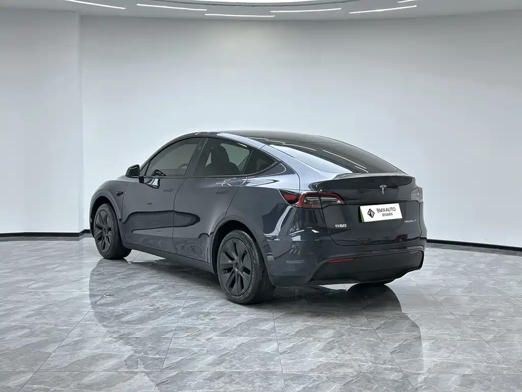 Tesla Model Y — миниатюра 2