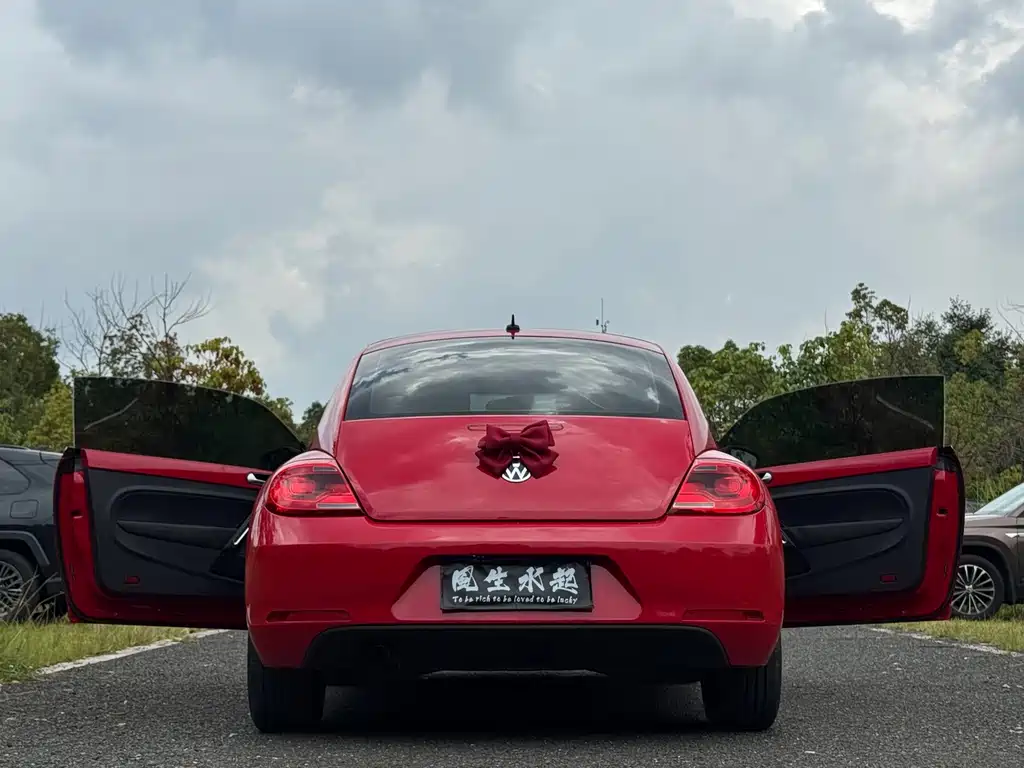 Volkswagen Beetle — миниатюра 13
