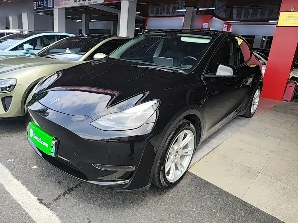 Tesla Model Y — миниатюра 2