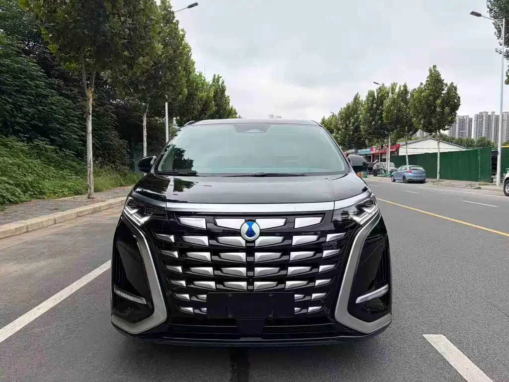 Denza Denza D9 — миниатюра 2
