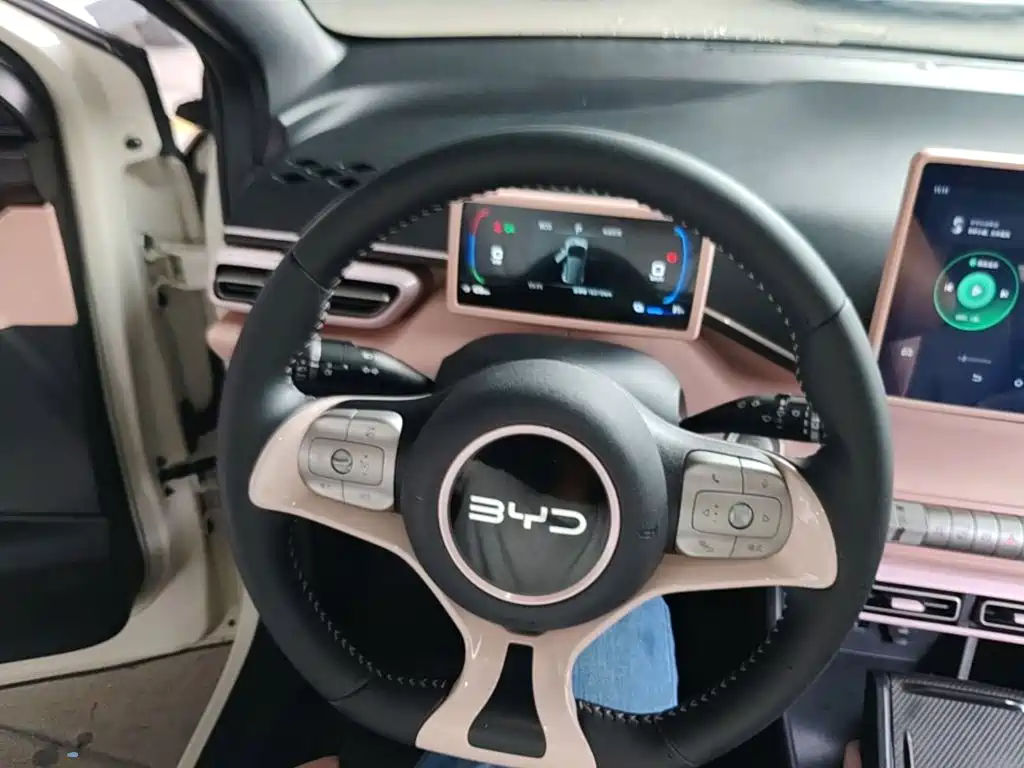 BYD Seagull — миниатюра 11