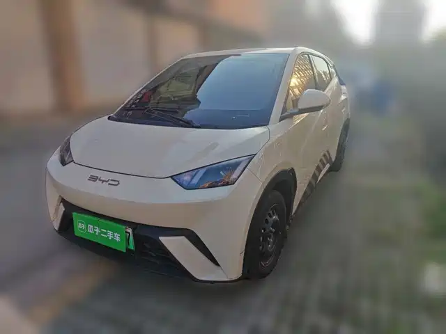 BYD Seagull