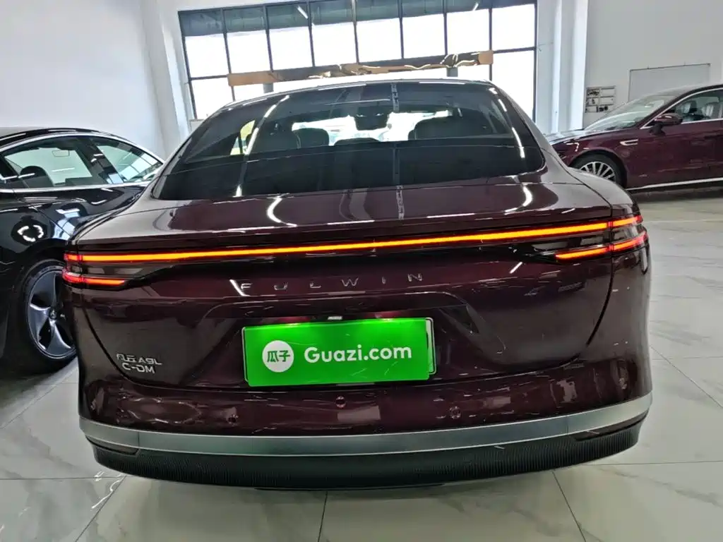 Fulwin Fengyun A9L — миниатюра 6