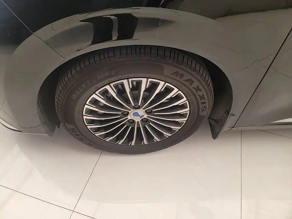 Denza Denza D9 — миниатюра 23