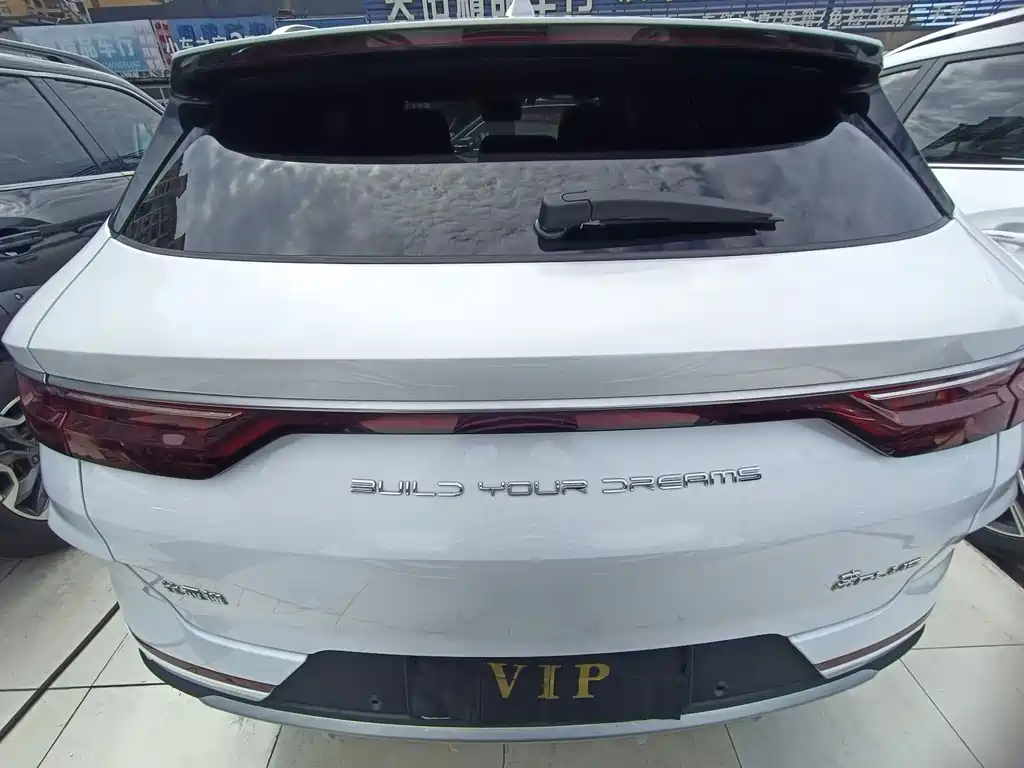 BYD PLUS — миниатюра 15