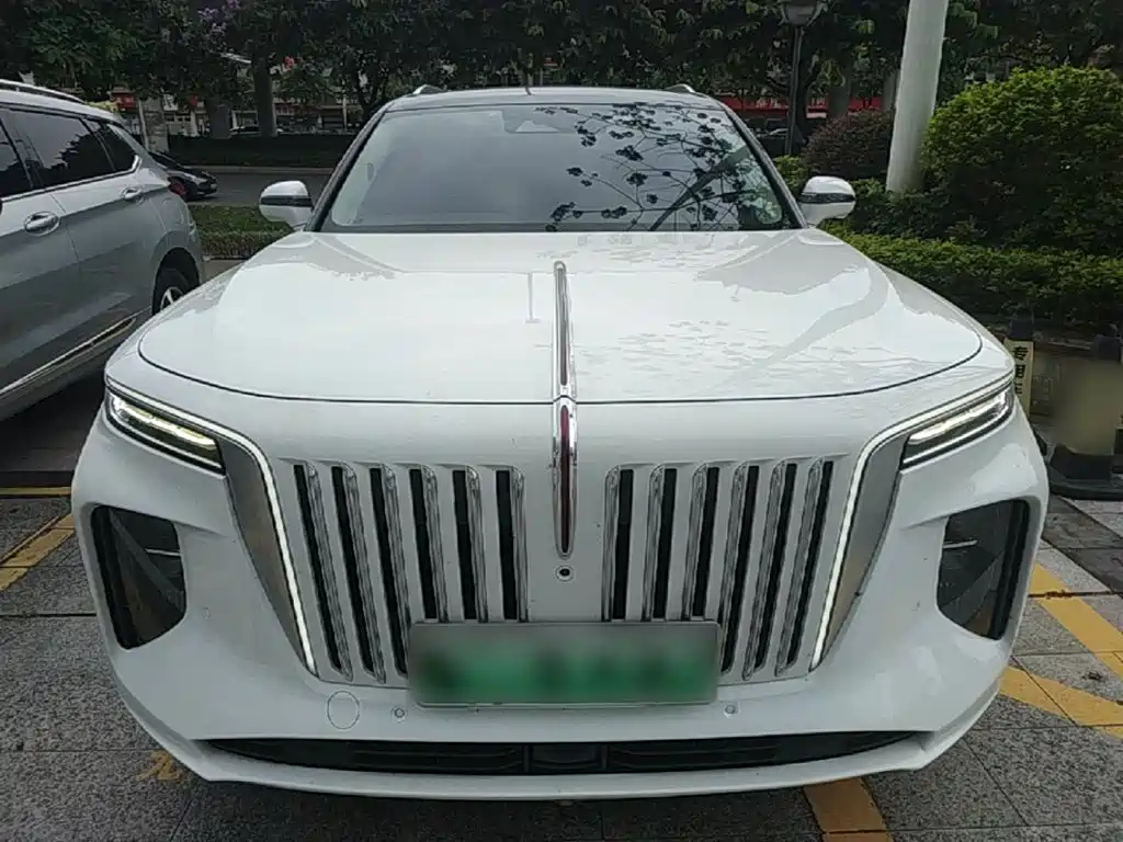 Hongqi Hongqi E-HS9 — миниатюра 3