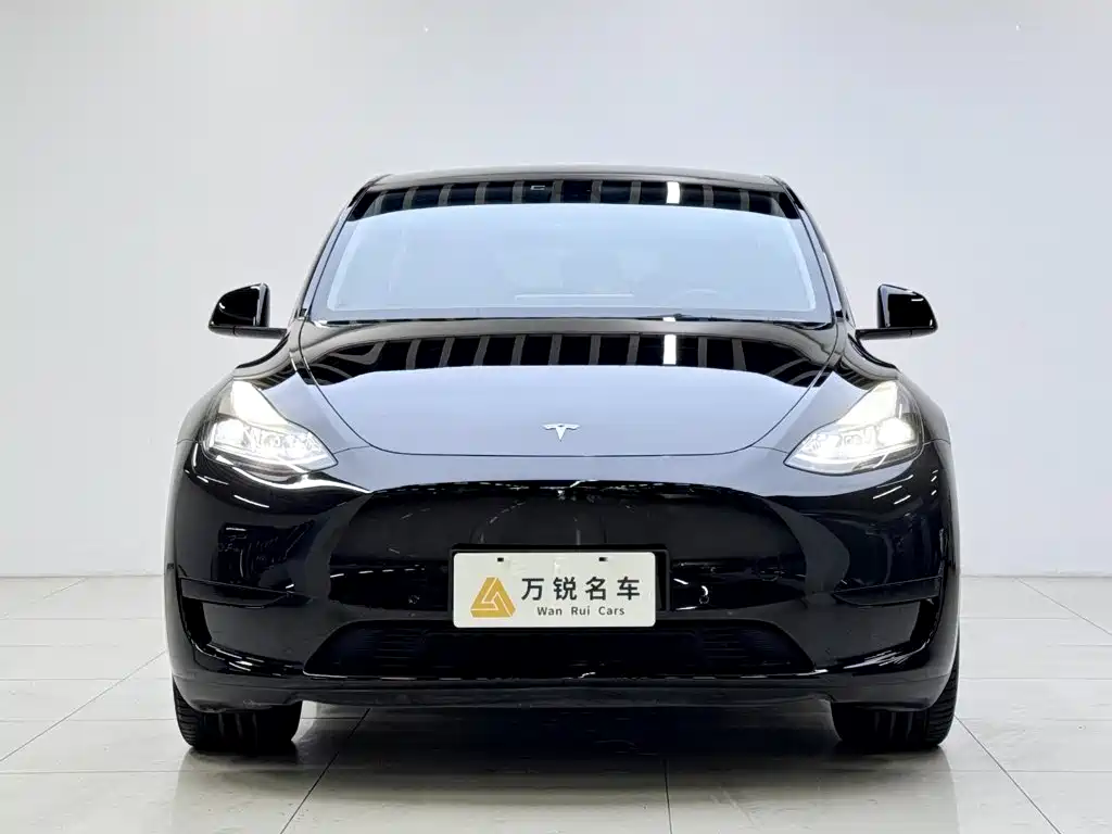 Tesla Model Y — миниатюра 2