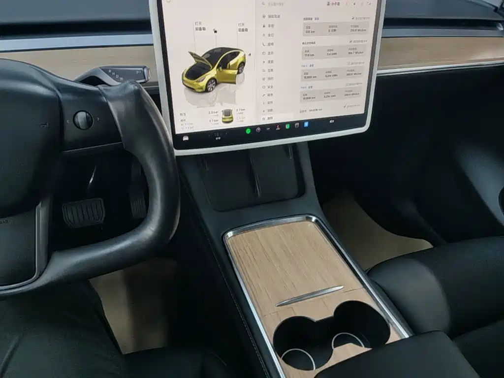 Tesla Model Y — миниатюра 14