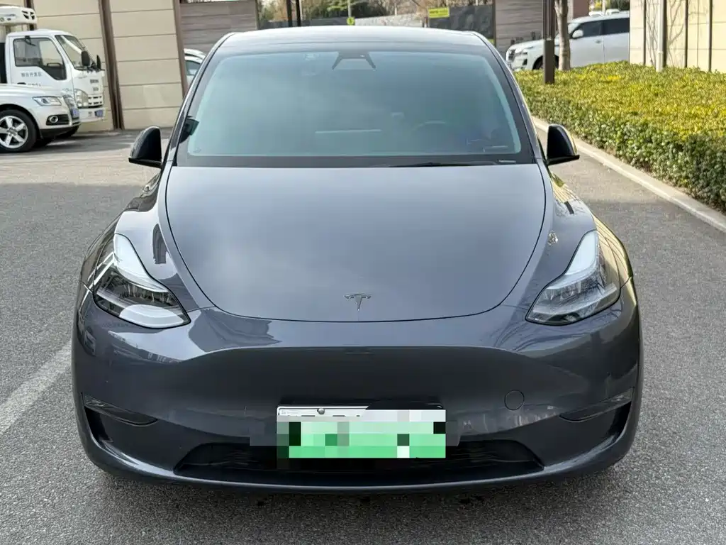 Tesla Model Y — миниатюра 2