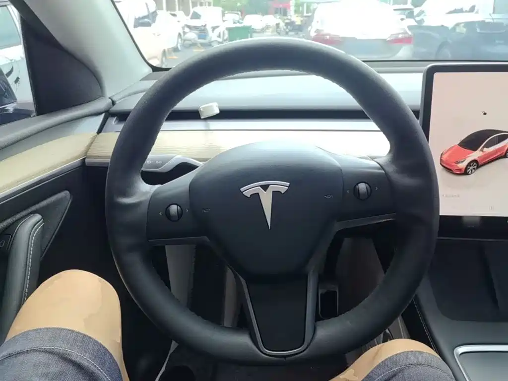 Tesla Model Y — миниатюра 11