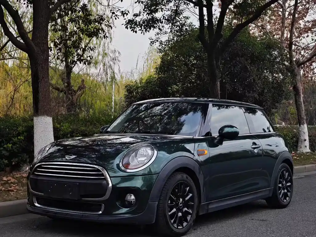 Mini Mini 2017